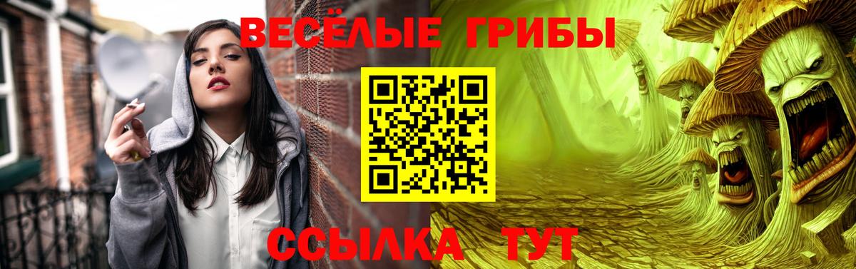 Псилоцибиновые грибы GOLDEN TEACHER  цена   Майский  Вход с VPN 
